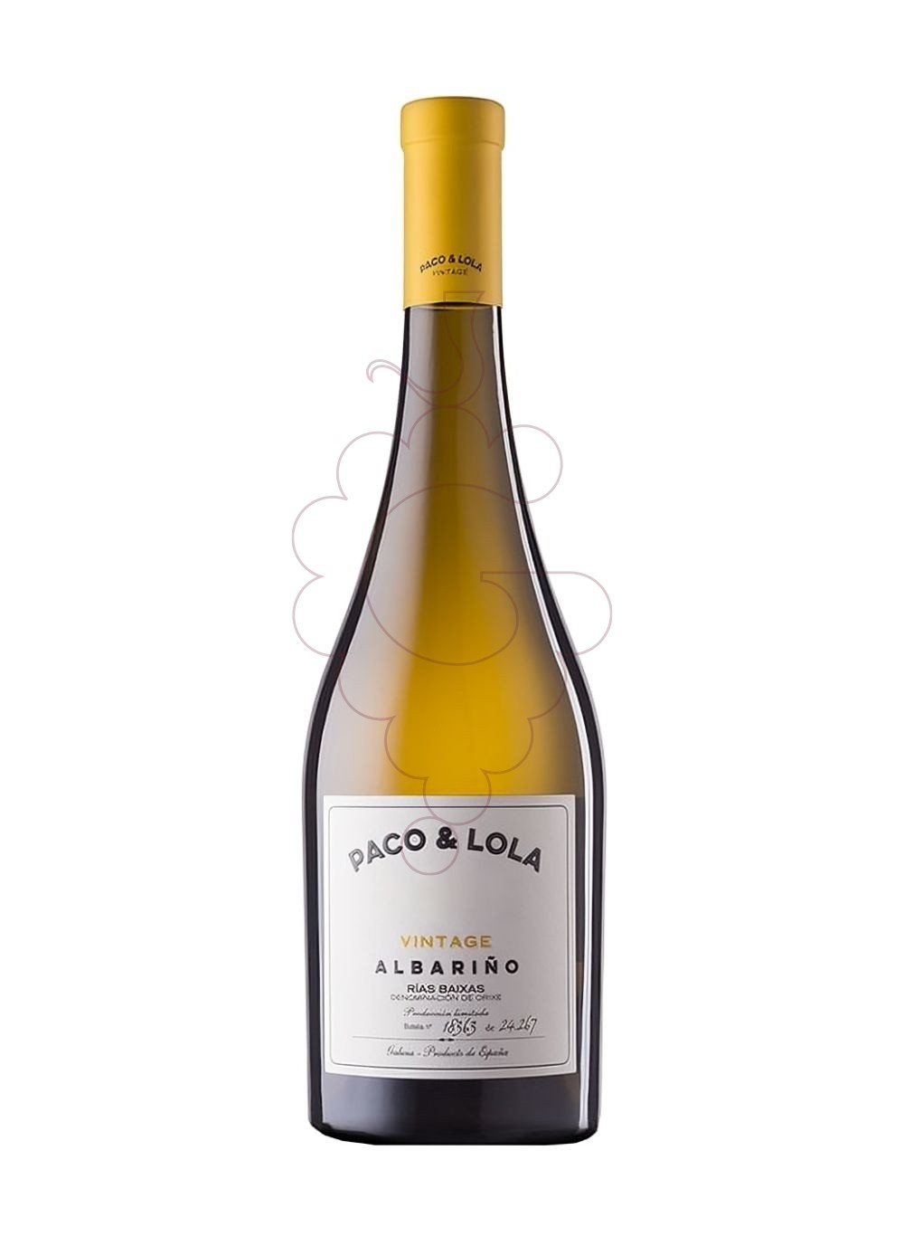 Photo Albariño Paco & Lola Vintage Magnum vin blanc