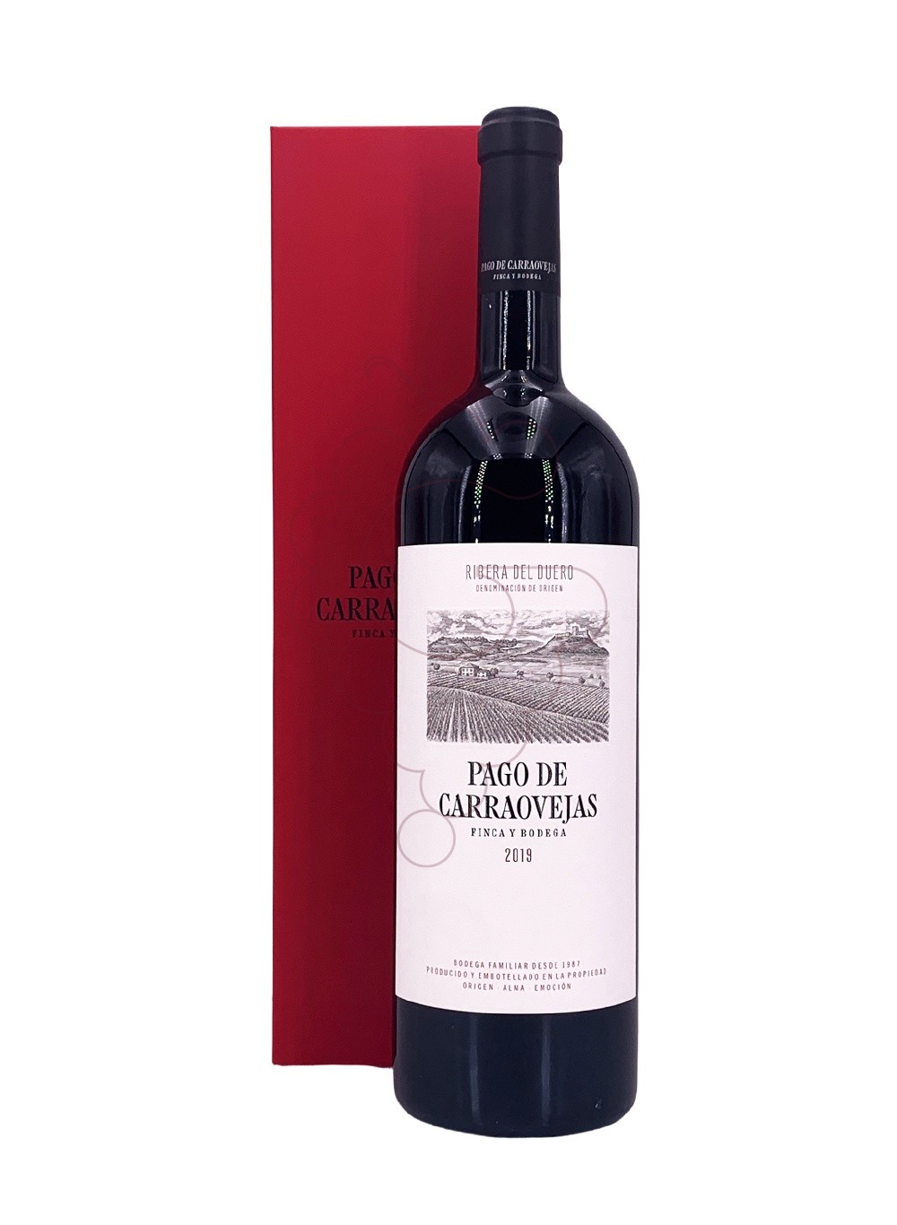 Photo Pago Carraovejas Magnum vin rouge