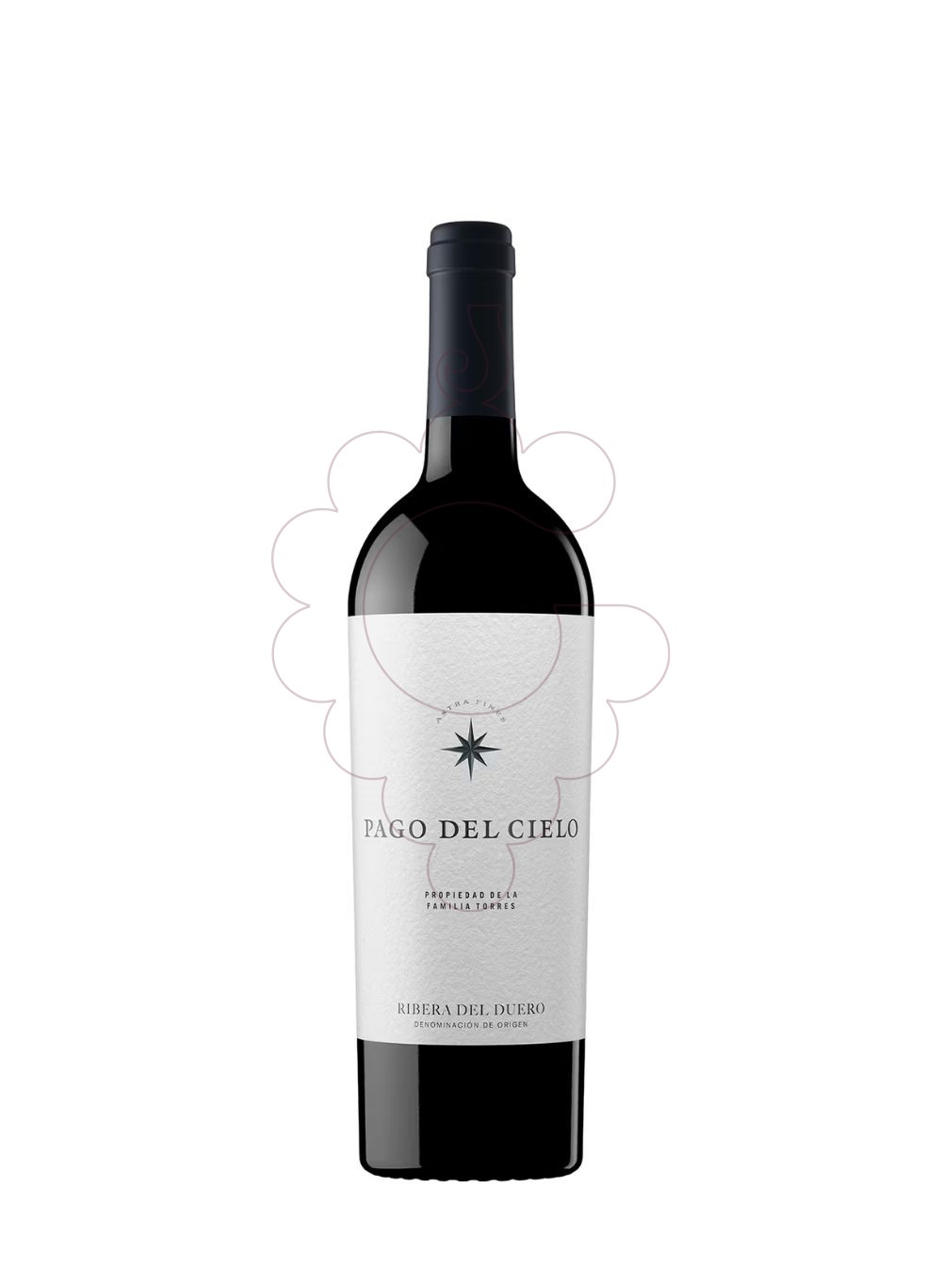 Photo Pago del cielo 2019 75 cl vin rouge