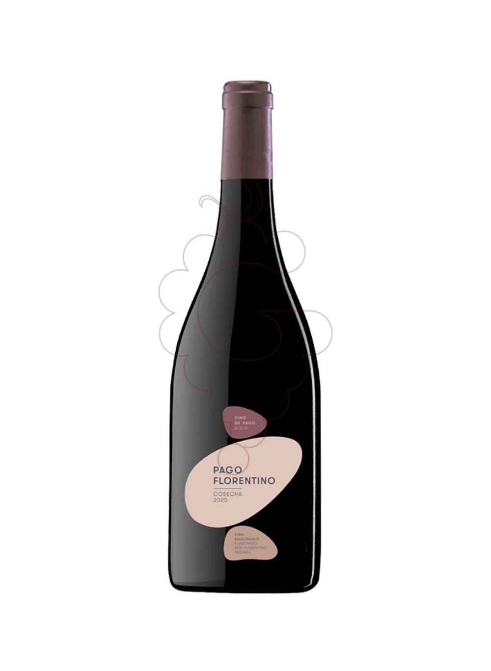 Photo Pago Florentino Magnum vin rouge