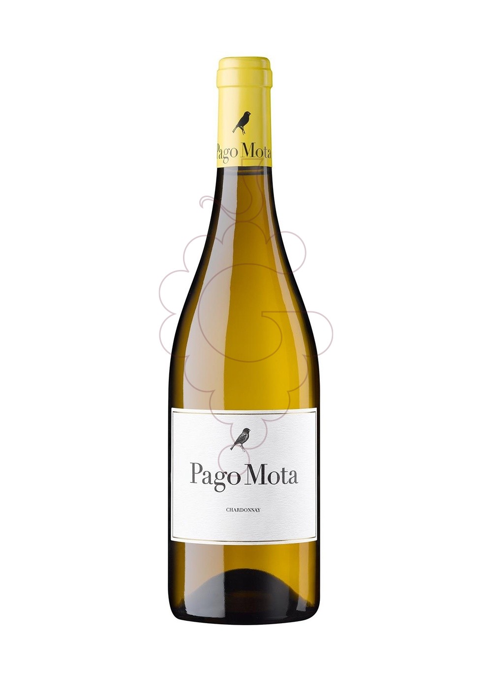 Photo Pago Mota Chardonnay vin blanc