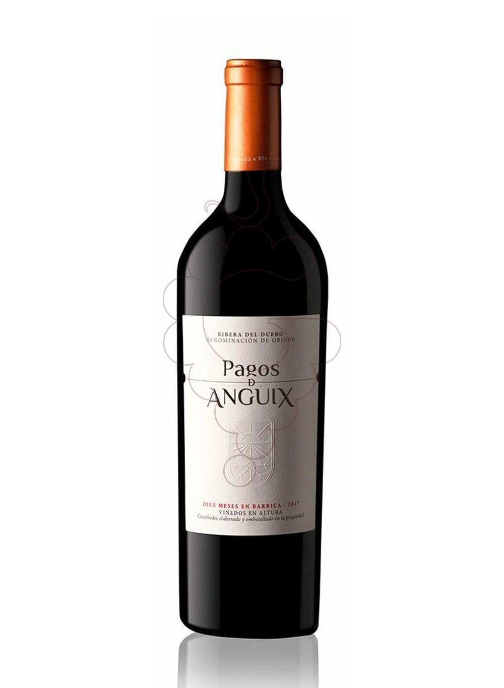 Photo Pagos de Anguix Costalara Magnum vin rouge