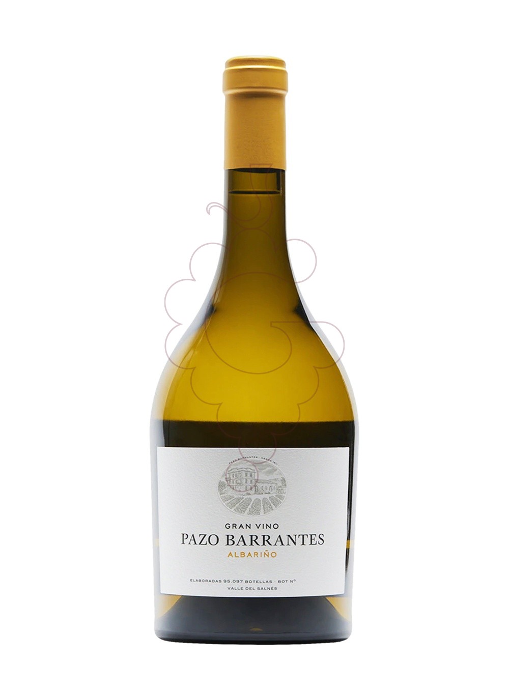 Photo Pazo Barrantes Gran Vino vin blanc