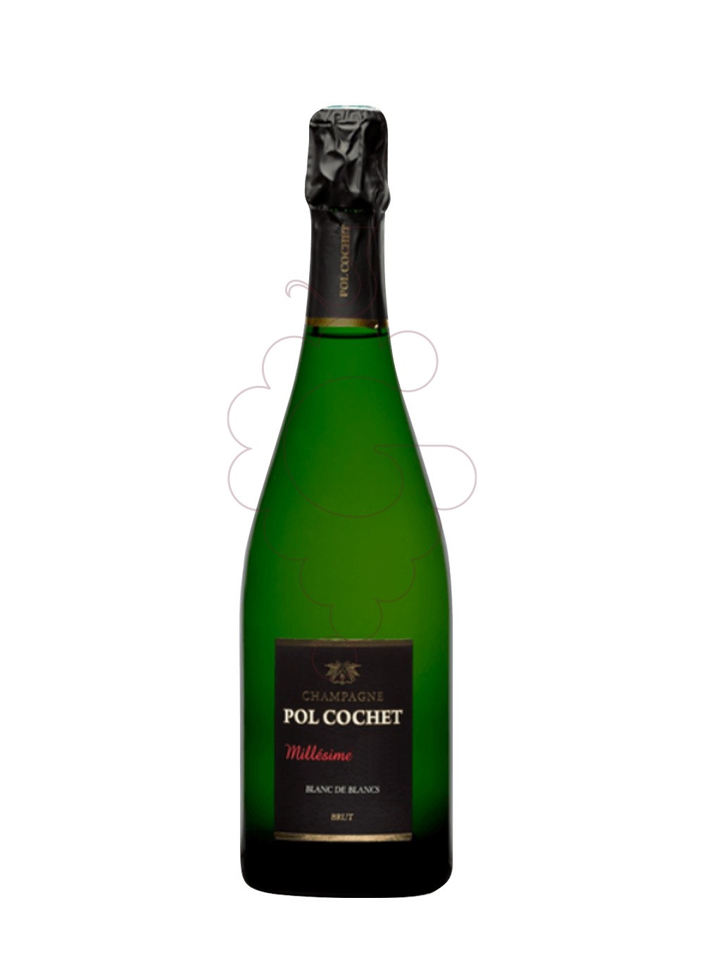 Photo Pol Cochet Millesime Blanc de Blancs vin mousseux