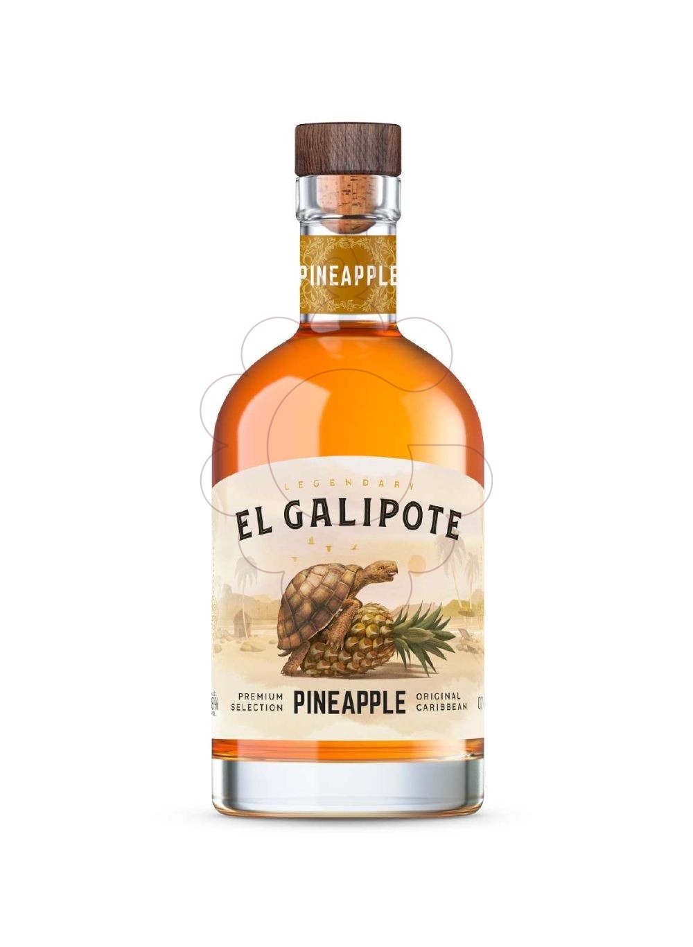 PhotoEl Galipote Pineapple