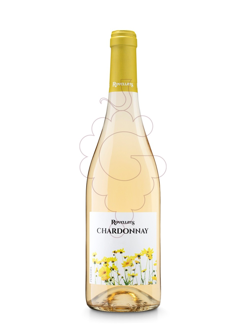 Photo Rovellats Chardonnay vin blanc