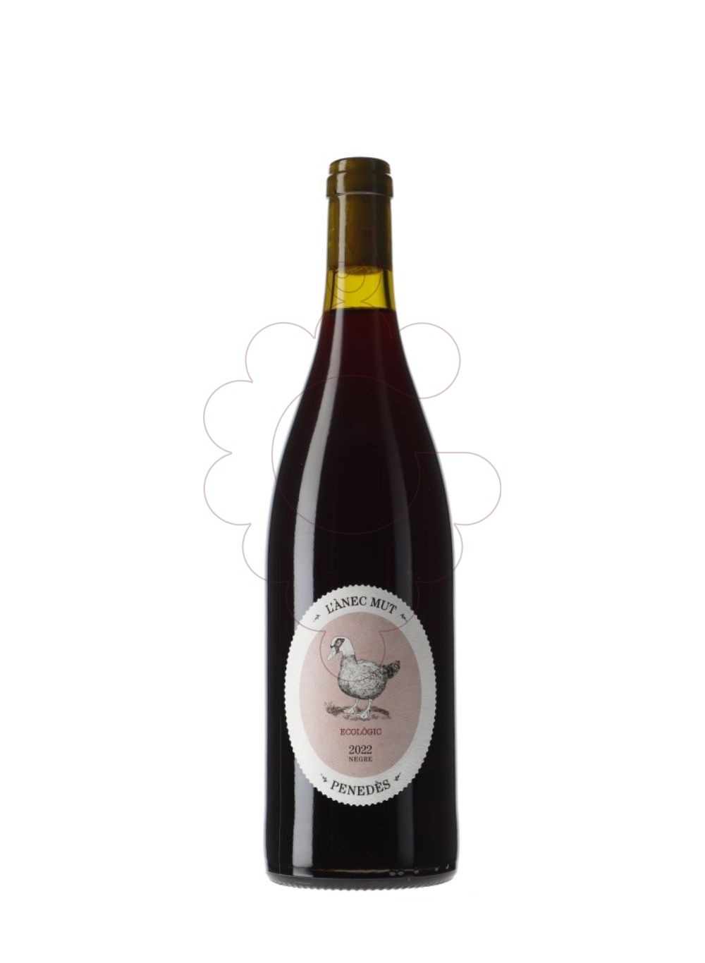 Photo R.Raventós l'Ànec Mut Rouge vin rouge