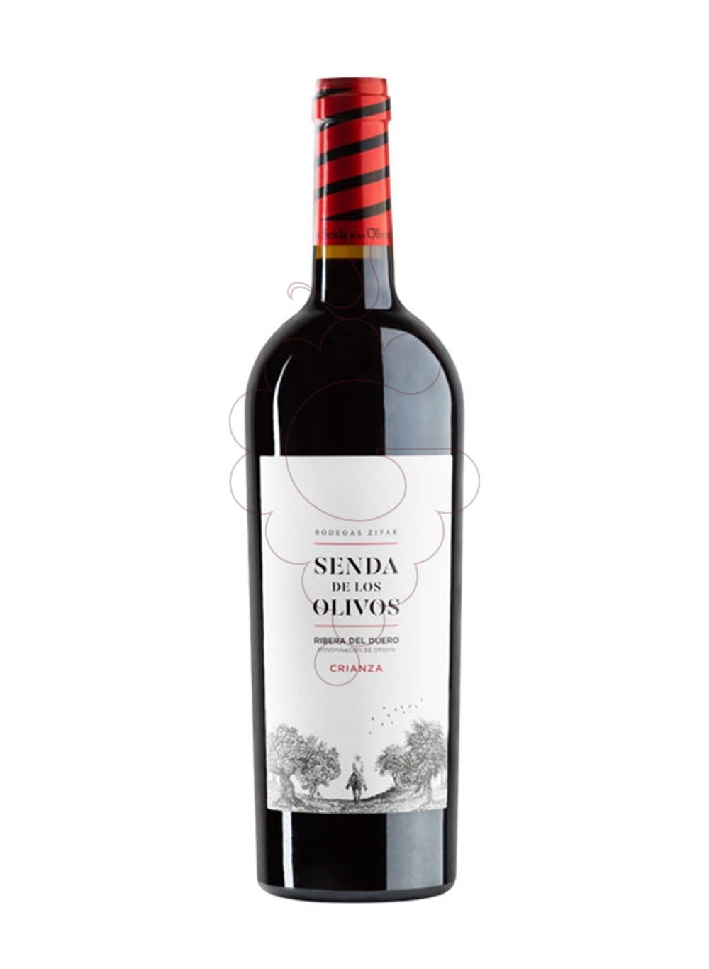 Photo Senda de los olivos cr. 2019 vin rouge