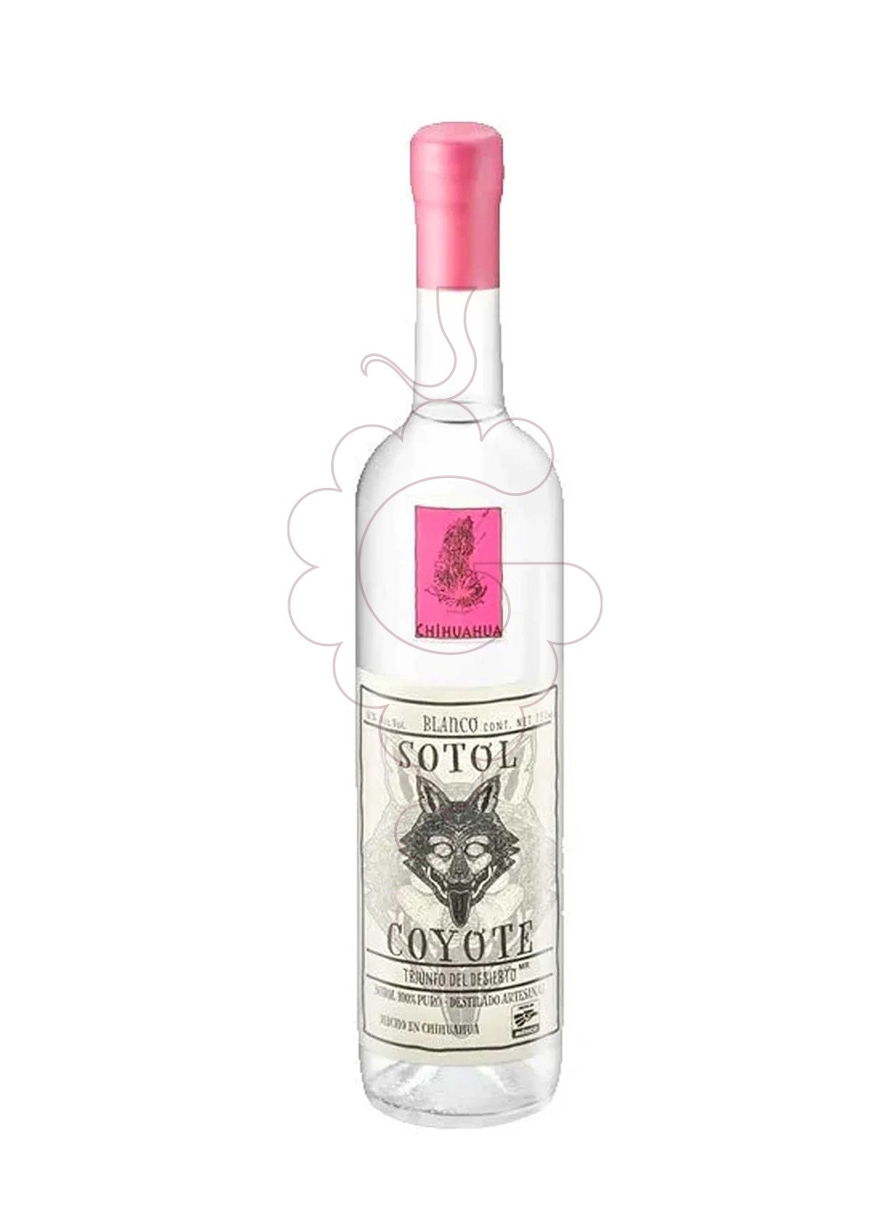 Photo Eau-de-vie Sotol blanco coyote chihuahua