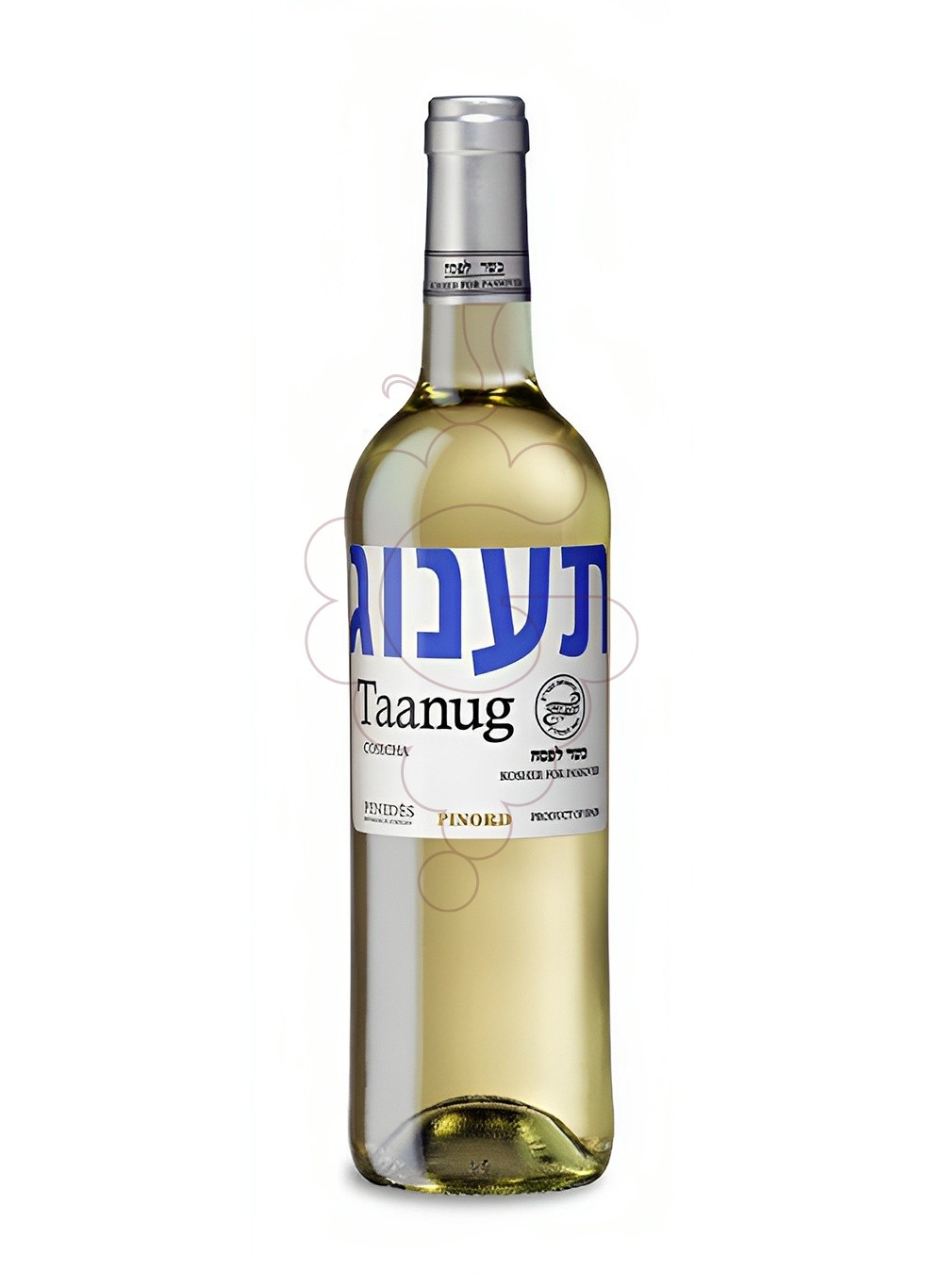 Photo Taanug Blanc Kosher vin blanc
