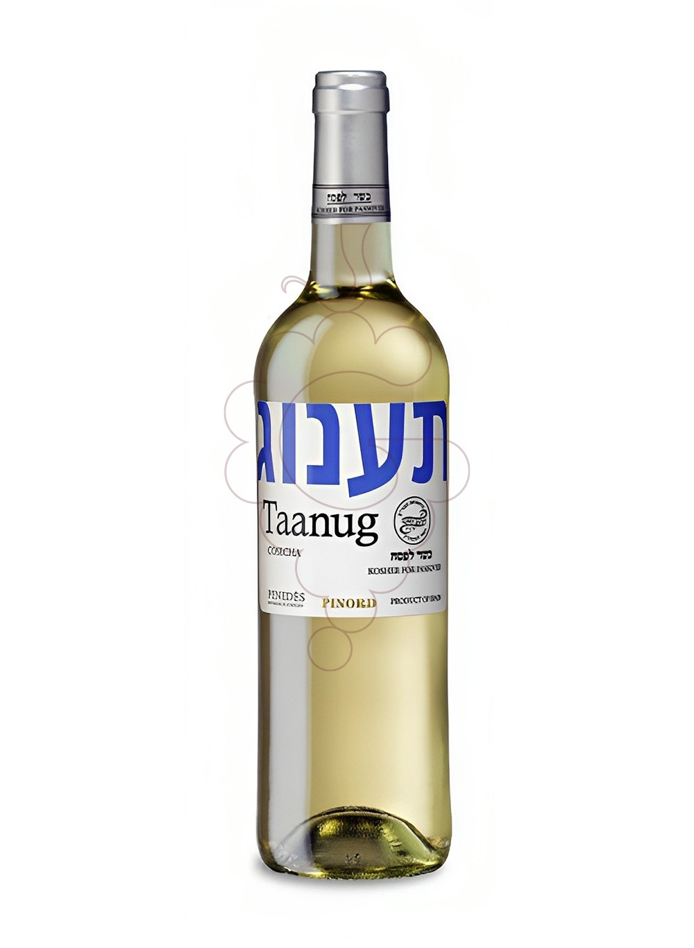 Bodegas Pinord, Taanug Blanc Kosher