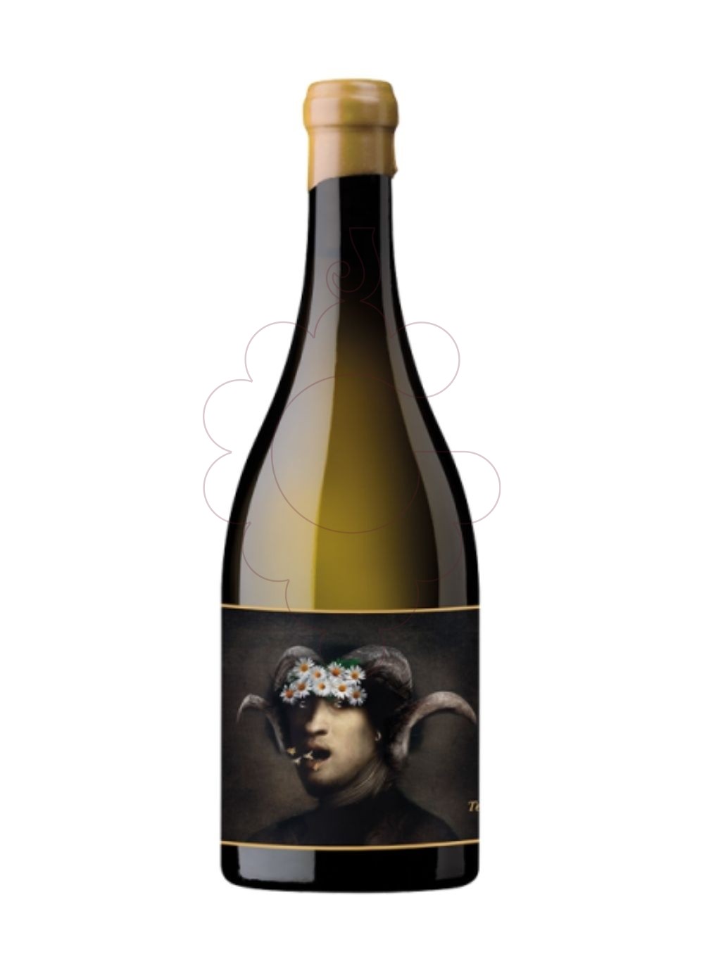 Photo Terlegiz 2021 vin blanc