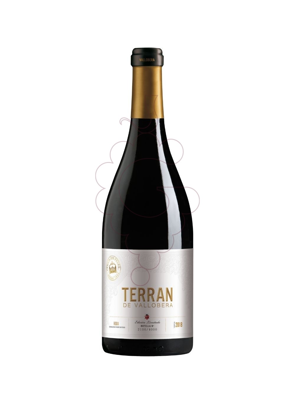 Photo Terran de Vallobera vin rouge