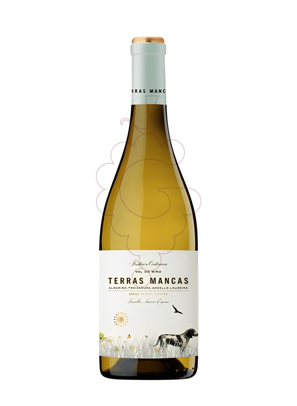 Photo Terras mancas blanco 21 vin blanc