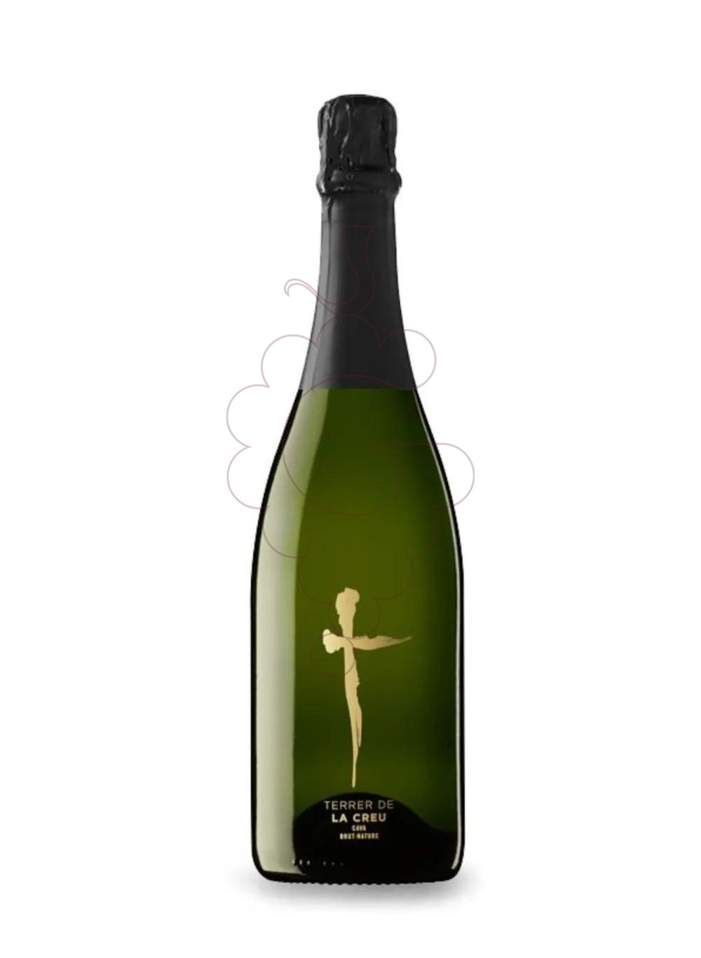 Photo Terrer de la creu brut nature vin mousseux