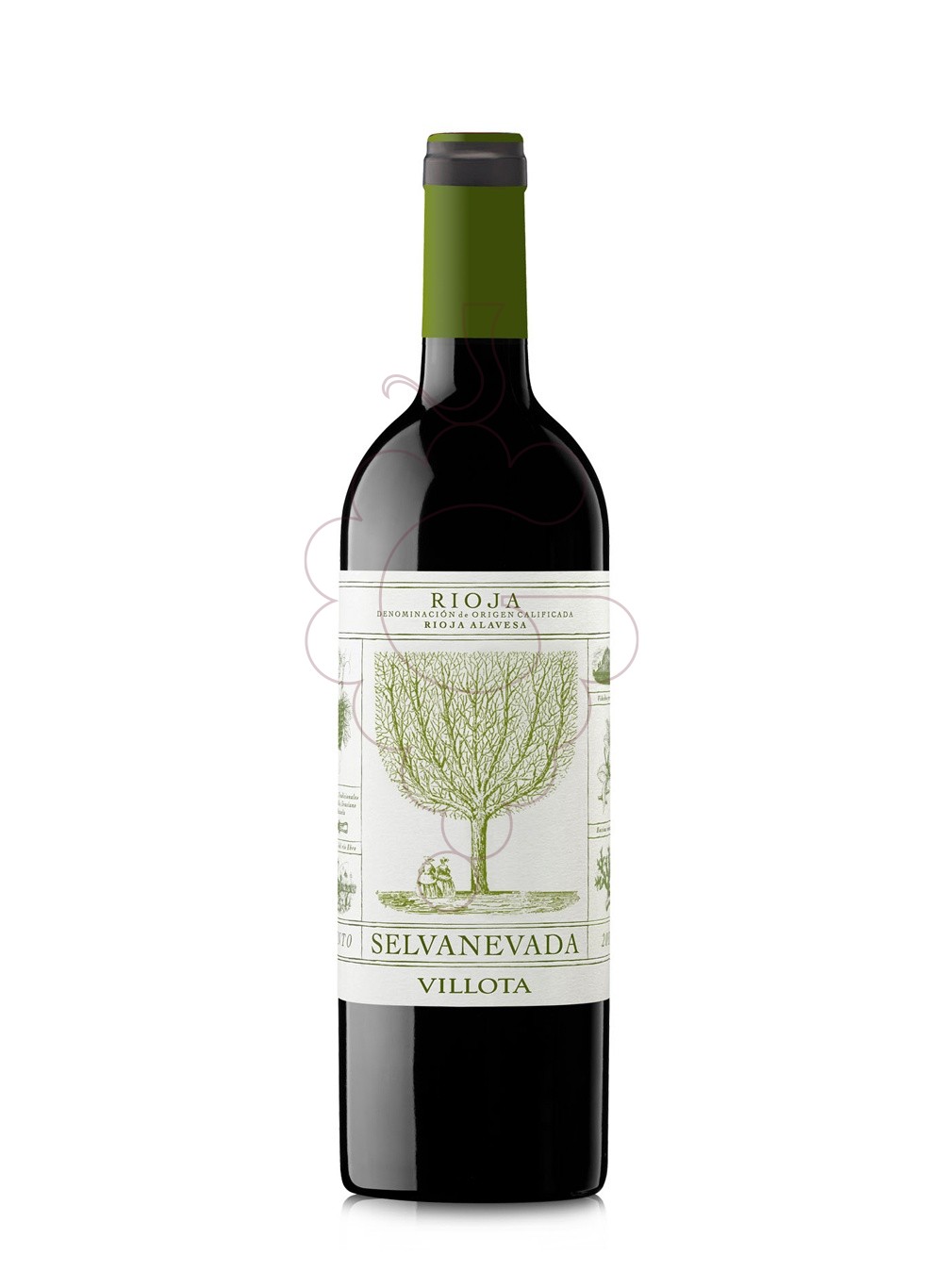 Photo Villota Selvanevada Blanco 21 vin blanc