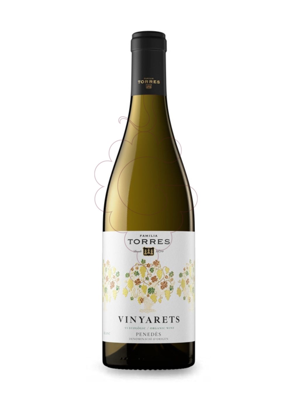 Photo Torres Vinyarets Blanc vin blanc