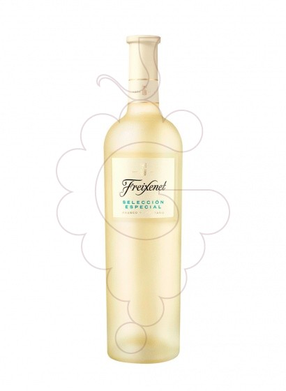 Photo Freixenet Selecció Especial Blanc vin blanc