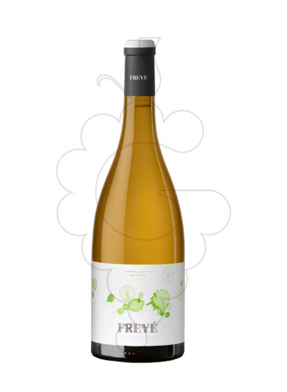 Photo Freyé Parellada Muscat Magnum vin blanc
