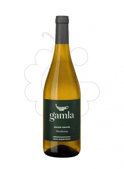 Photo Gamla galilee israel chard bl vin blanc