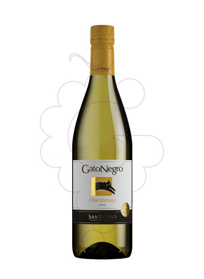 Photo Gato Negro Blanco Chardonnay vin blanc