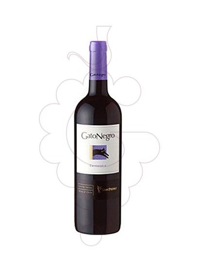 Photo Gato Negro Carmenere  vin rouge