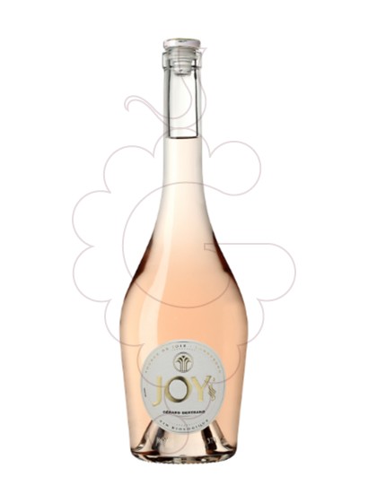 Photo G.Bertrand Joy Rosé Magnum vin rosé