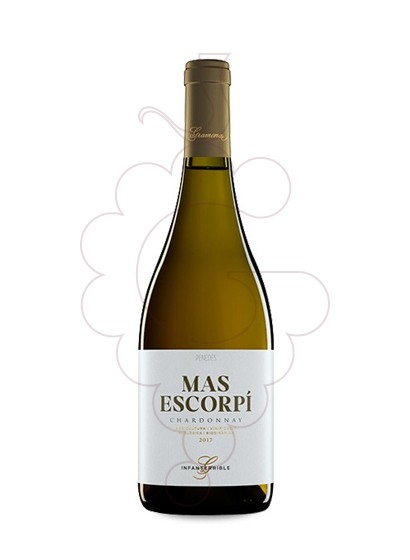 Photo Mas Escorpí Chardonnay vin blanc