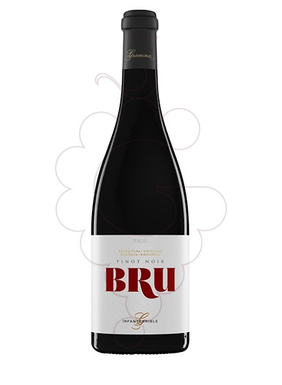 Photo Mas Escorpí Bru vin rouge