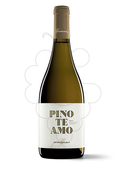 Photo Mas Escorpí Pinoteamo vin blanc