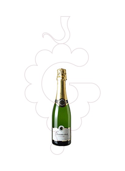 Photo Gramona Reserva Brut (mini) vin mousseux