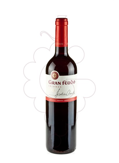 Photo Gran Feudo Crianza vin rouge