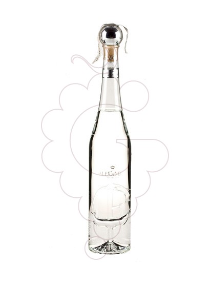 Photo Grappa Grappa Alexander Discovery