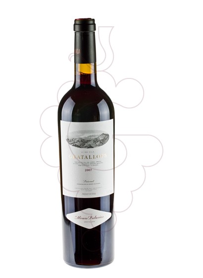 Photo Gratallops Magnum vin rouge