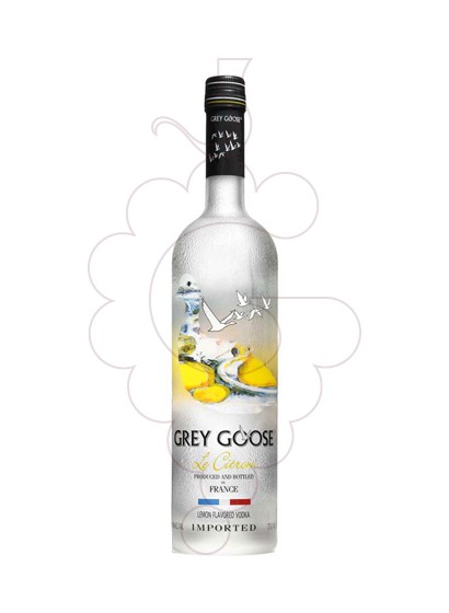 Photo Vodka Grey Goose Citron