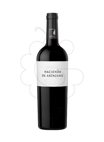 Photo Hacienda de Arínzano Rouge Magnum vin rouge