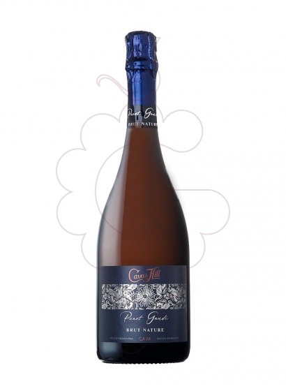 Photo Cavas Hill Cava Cuvée Panot Brut Nature vin mousseux