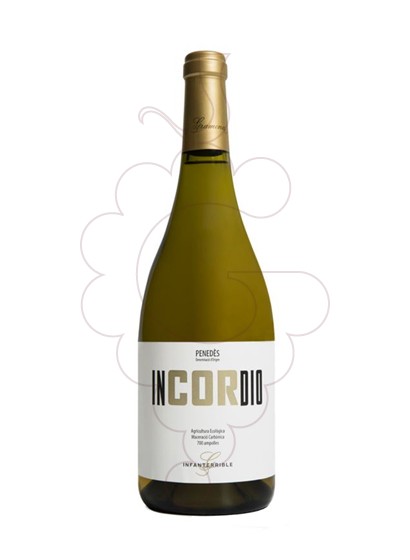 Photo Mas Escorpí Incordio vin blanc