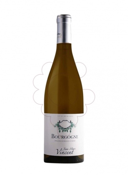 Photo Jean-Marc Vincent Bourgogne Blanc vin blanc