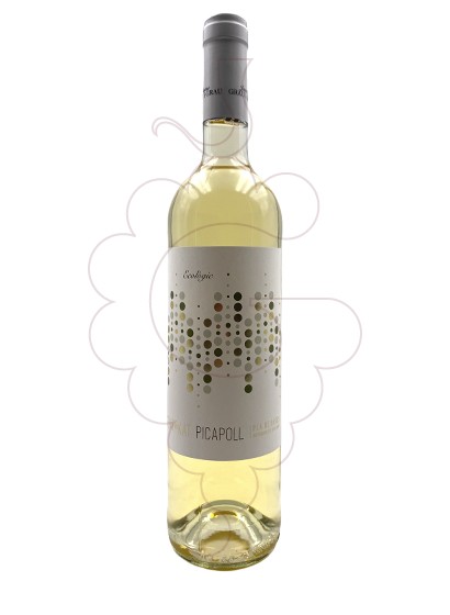 Photo Cent kat Picapoll eco vin blanc