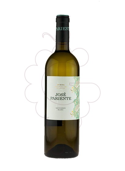 Photo José Pariente Sauvignon Blanc vin blanc
