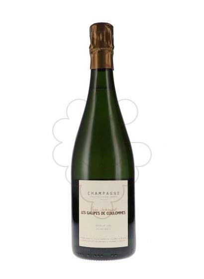 Photo Jean Servagnat Les Galipes de Coulommes vin mousseux