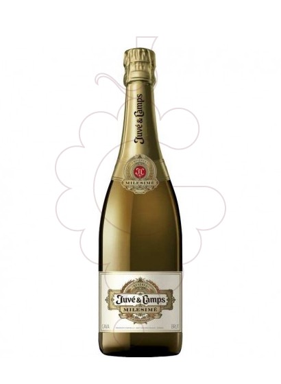 Photo Juve i Camps Milesime Chardonnay Magnum vin mousseux