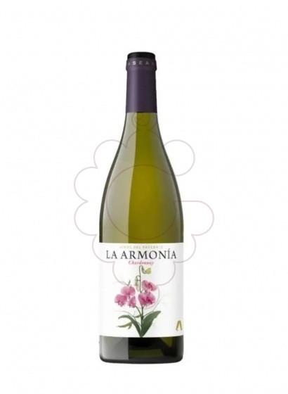 Photo La armonia blanc chardonnay vin blanc