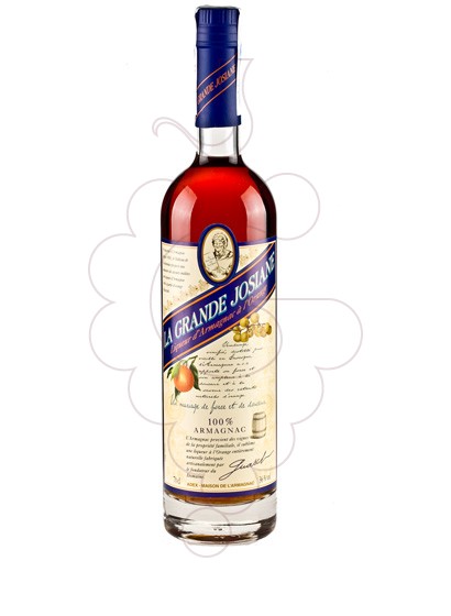 Photo Apéritif La Grande Josiane