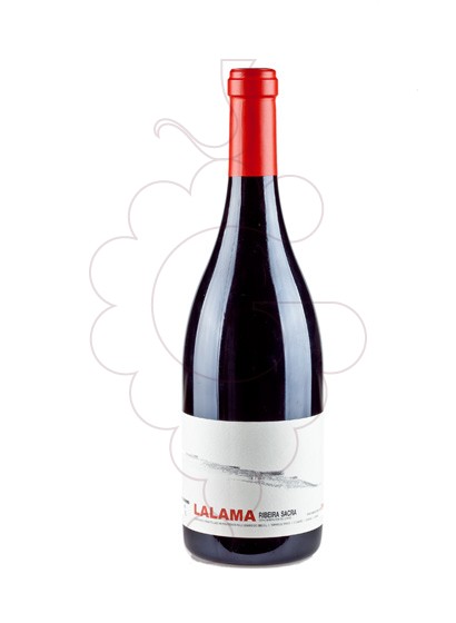 Photo Lalama vin rouge