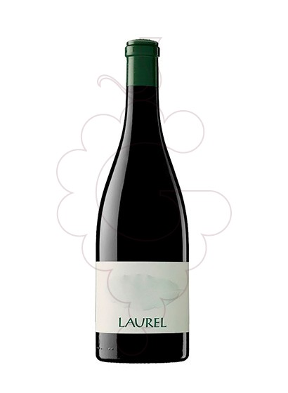 Photo Laurel vin rouge