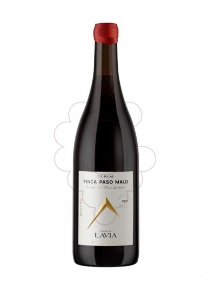 Photo Lavia finca paso malo 2019 vin rouge