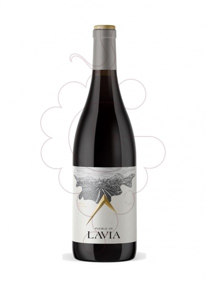 Photo Lavia+  vin rouge
