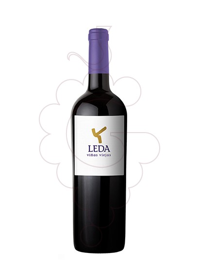 Photo Leda Viñas Viejas vin rouge